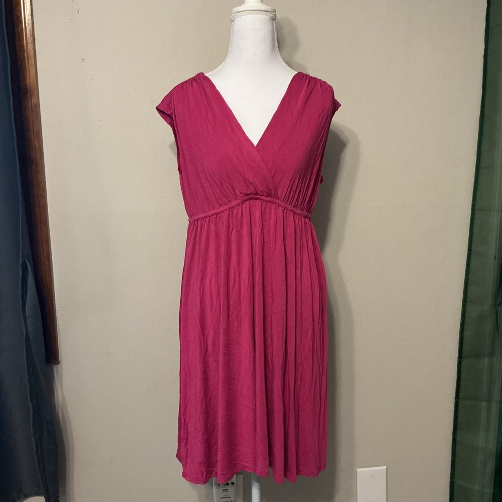 Spenser Jeremy Comfy Pink Women's Dress